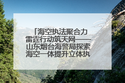 海空执法聚合力 雷霆行动筑天网——山东烟台海警局探索海空一体提升立体执法效能纪实