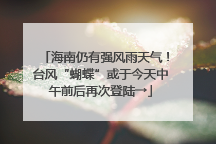 海南仍有强风雨天气！台风“蝴蝶”或于今天中午前后再次登陆→