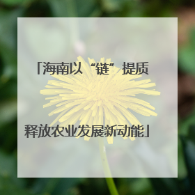 海南以“链”提质 释放农业发展新动能
