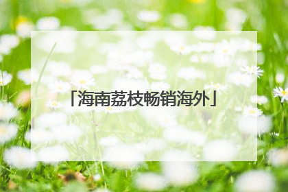 海南荔枝畅销海外