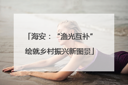 海安：“渔光互补” 绘就乡村振兴新图景