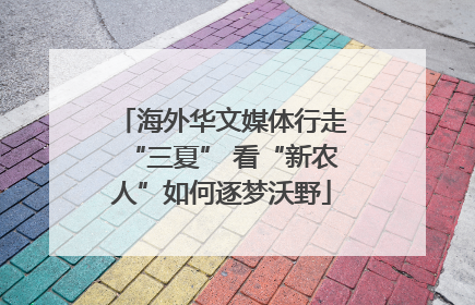 海外华文媒体行走“三夏” 看“新农人”如何逐梦沃野