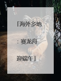 海外多地：赛龙舟 迎端午