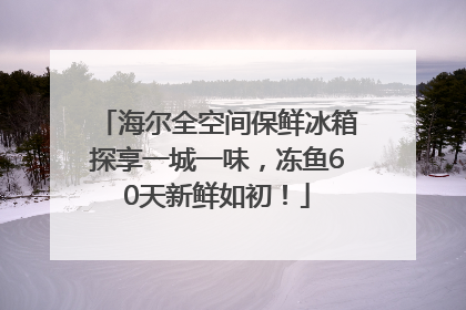 海尔全空间保鲜冰箱探享一城一味，冻鱼60天新鲜如初！