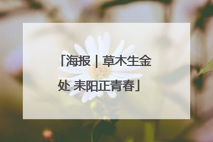海报｜草木生金处 耒阳正青春