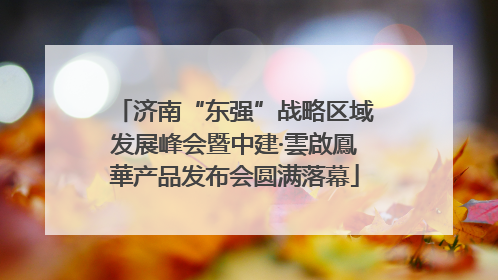 济南“东强”战略区域发展峰会暨中建·雲啟鳳華产品发布会圆满落幕