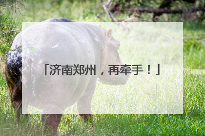 济南郑州，再牵手！