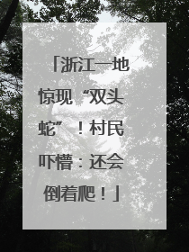 浙江一地惊现“双头蛇”！村民吓懵：还会倒着爬！