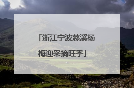 浙江宁波慈溪杨梅迎采摘旺季