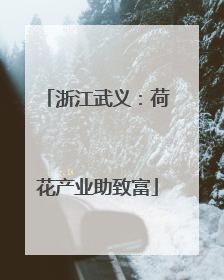 浙江武义：荷花产业助致富