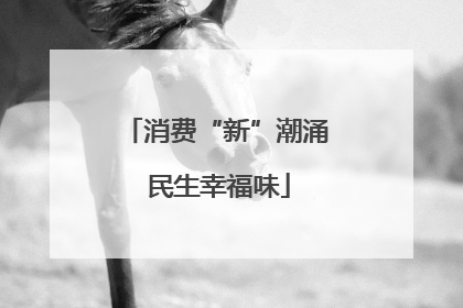 消费“新”潮涌 民生幸福味
