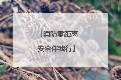 消防零距离 安全伴我行