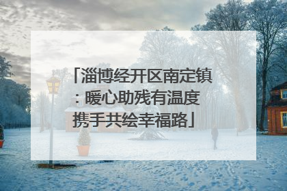 淄博经开区南定镇：暖心助残有温度 携手共绘幸福路