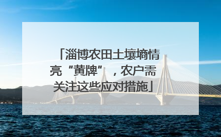 淄博农田土壤墒情亮“黄牌”，农户需关注这些应对措施