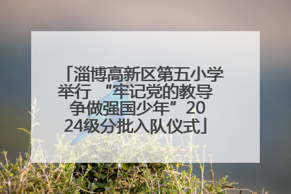 淄博高新区第五小学举行 “牢记党的教导 争做强国少年”2024级分批入队仪式