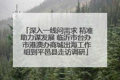 深入一线问需求 精准助力谋发展 临沂市台办 市港澳办商城出海工作组到平邑县走访调研