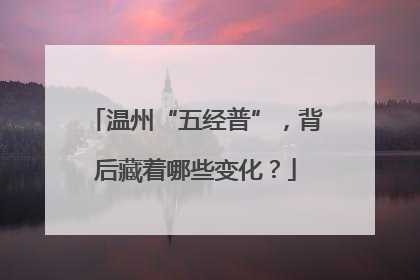温州“五经普”，背后藏着哪些变化？