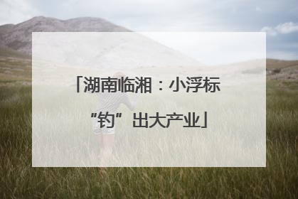 湖南临湘：小浮标“钓”出大产业