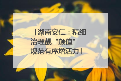 湖南安仁：精细治理靓“颜值” 规范有序增活力