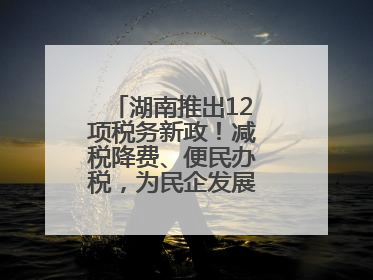 湖南推出12项税务新政！减税降费、便民办税，为民企发展“减负加油”