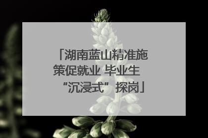湖南蓝山精准施策促就业 毕业生“沉浸式”探岗
