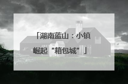 湖南蓝山：小镇崛起“箱包城”