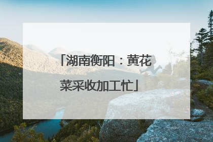 湖南衡阳：黄花菜采收加工忙