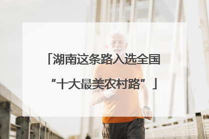湖南这条路入选全国“十大最美农村路”