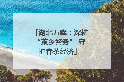 湖北五峰：深耕“茶乡警务” 守护春茶经济