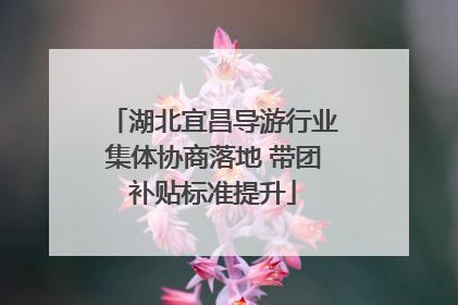 湖北宜昌导游行业集体协商落地 带团补贴标准提升