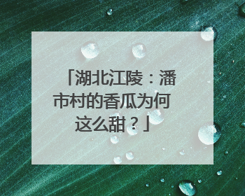 湖北江陵：潘市村的香瓜为何这么甜？