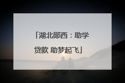 湖北郧西：助学贷款 助梦起飞