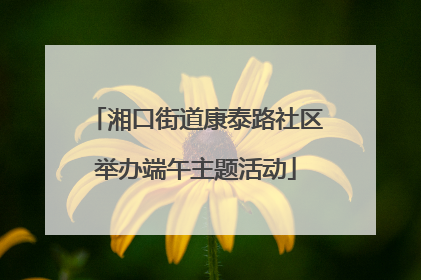 湘口街道康泰路社区举办端午主题活动
