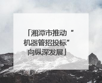 湘潭市推动“机器管招投标”向纵深发展