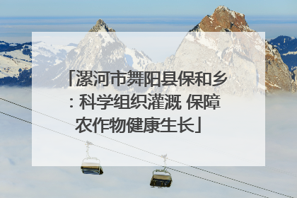漯河市舞阳县保和乡：科学组织灌溉 保障农作物健康生长