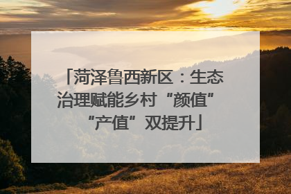 菏泽鲁西新区：生态治理赋能乡村“颜值”“产值”双提升