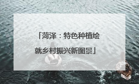 菏泽：特色种植绘就乡村振兴新图景