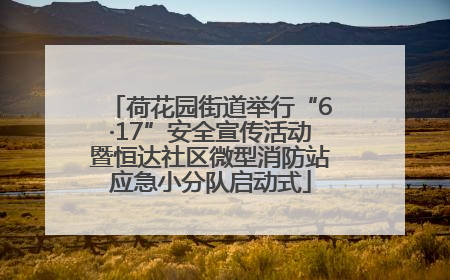 荷花园街道举行“6·17”安全宣传活动暨恒达社区微型消防站应急小分队启动式