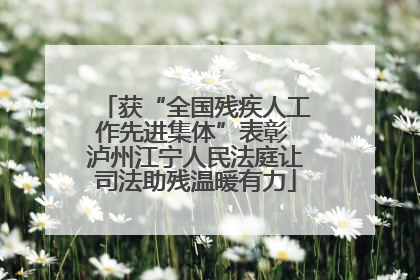 获“全国残疾人工作先进集体”表彰 泸州江宁人民法庭让司法助残温暖有力