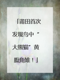 莆田首次发现鸟中“大熊猫”黄腹角雉！