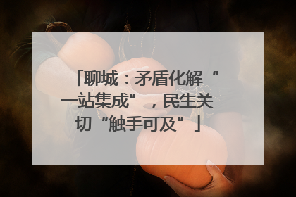 聊城：矛盾化解“一站集成”，民生关切“触手可及”