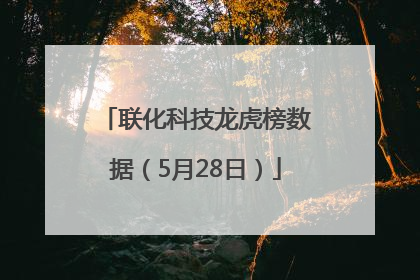 联化科技龙虎榜数据（5月28日）