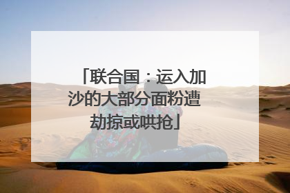 联合国：运入加沙的大部分面粉遭劫掠或哄抢