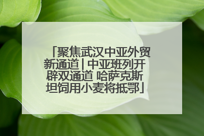 聚焦武汉中亚外贸新通道│中亚班列开辟双通道 哈萨克斯坦饲用小麦将抵鄂