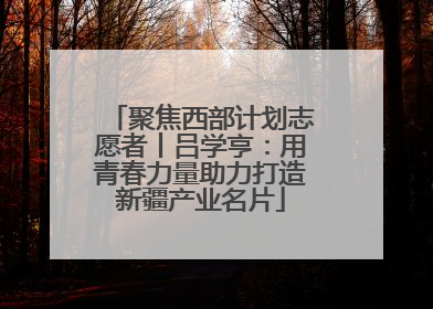 聚焦西部计划志愿者丨吕学亨：用青春力量助力打造新疆产业名片