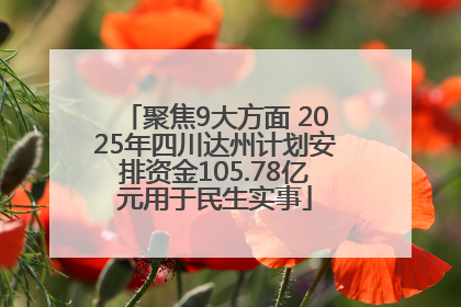 聚焦9大方面 2025年四川达州计划安排资金105.78亿元用于民生实事