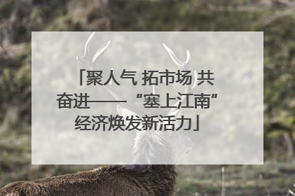 聚人气 拓市场 共奋进——“塞上江南”经济焕发新活力