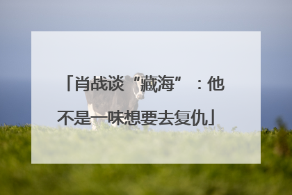 肖战谈“藏海”：他不是一味想要去复仇
