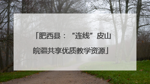 肥西县：“连线”皮山 皖疆共享优质教学资源