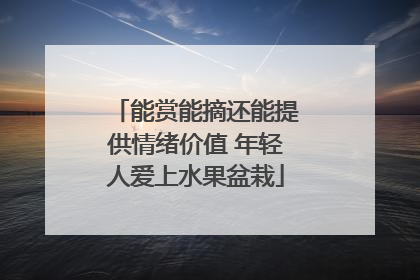 能赏能摘还能提供情绪价值 年轻人爱上水果盆栽